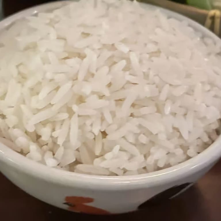 Delicious Jasmine Rice Dishes